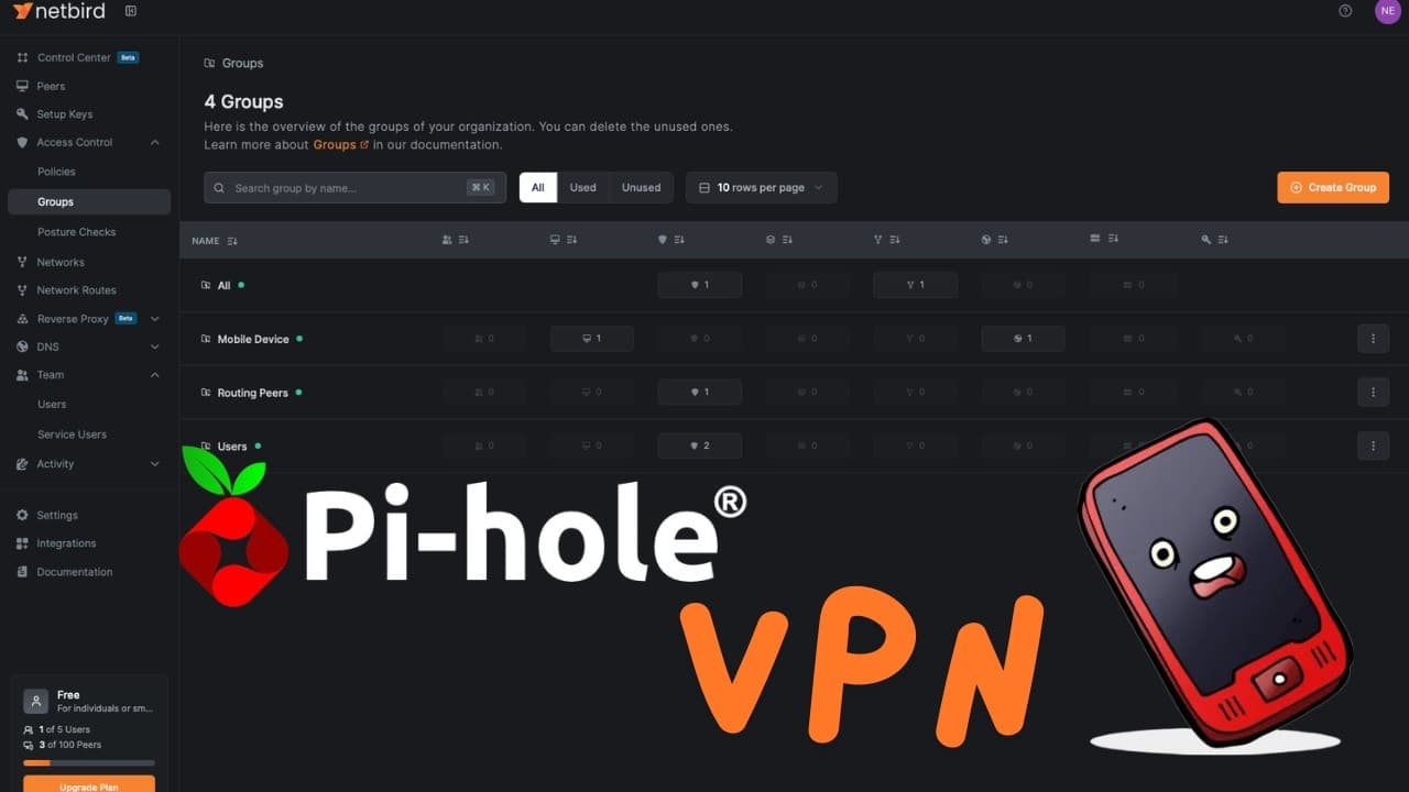 NetBird VPN & Pi-Hole DNS Setup