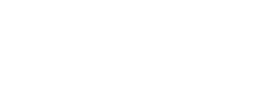 Authentik NetBird Integration