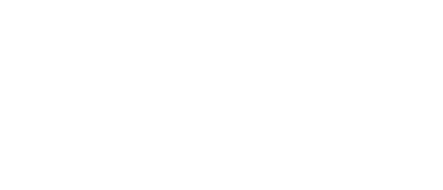 iOS NetBird Integration