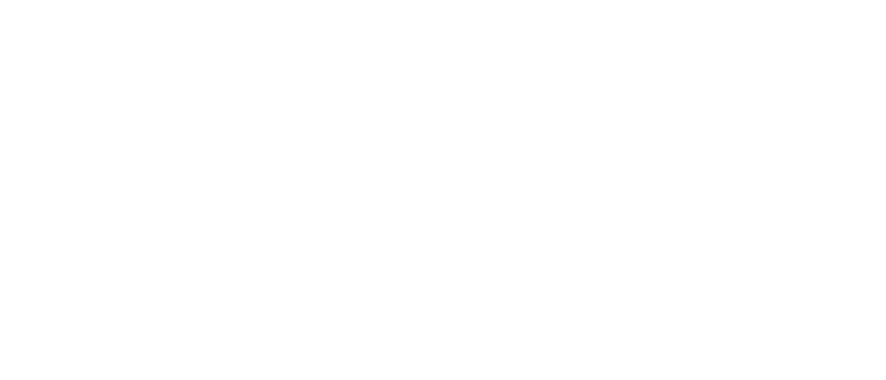 macOS NetBird Integration