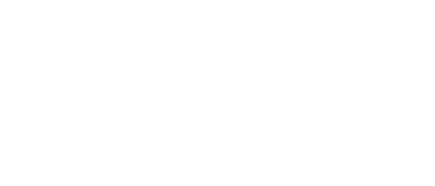 pfSense NetBird Integration