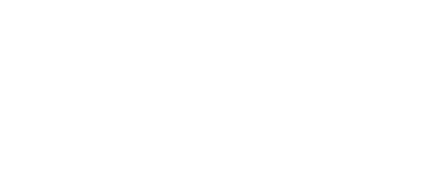 Synology NetBird Integration