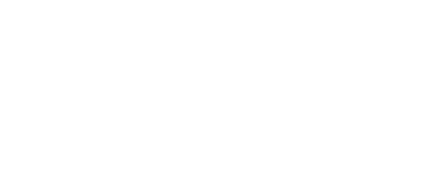 Terraform NetBird Integration