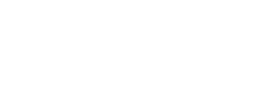 Wazuh NetBird Integration