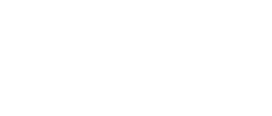 Zitadel NetBird Integration
