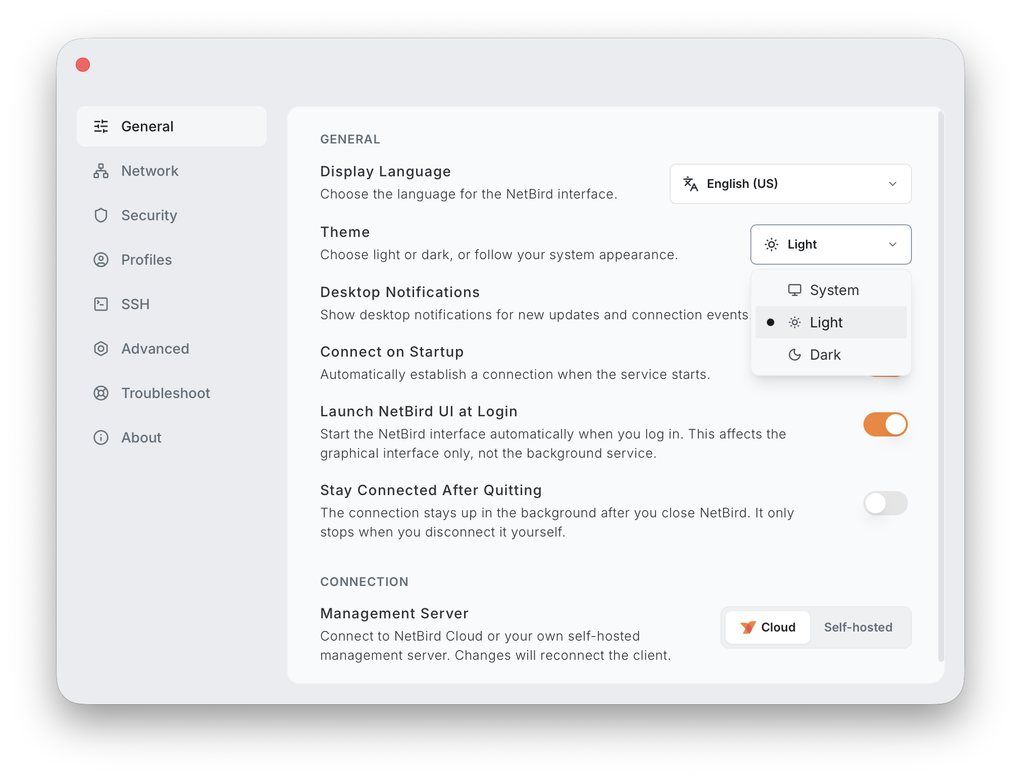 The NetBird desktop app's Settings > General page with the new Theme picker open, showing System, Light, and Dark options