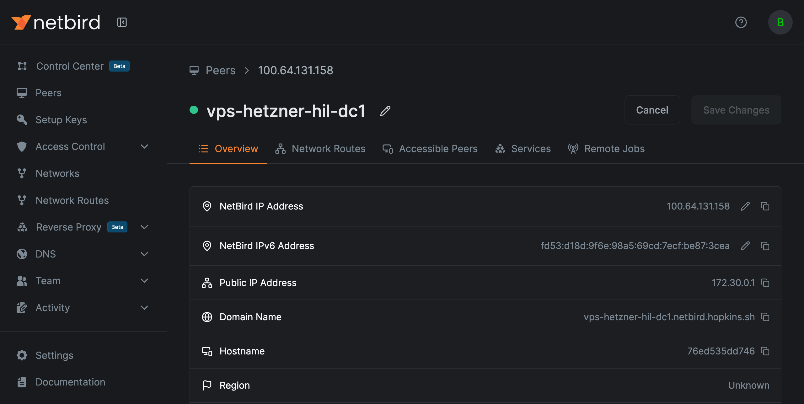 Peer detail page showing both IPv4 and IPv6 overlay addresses
