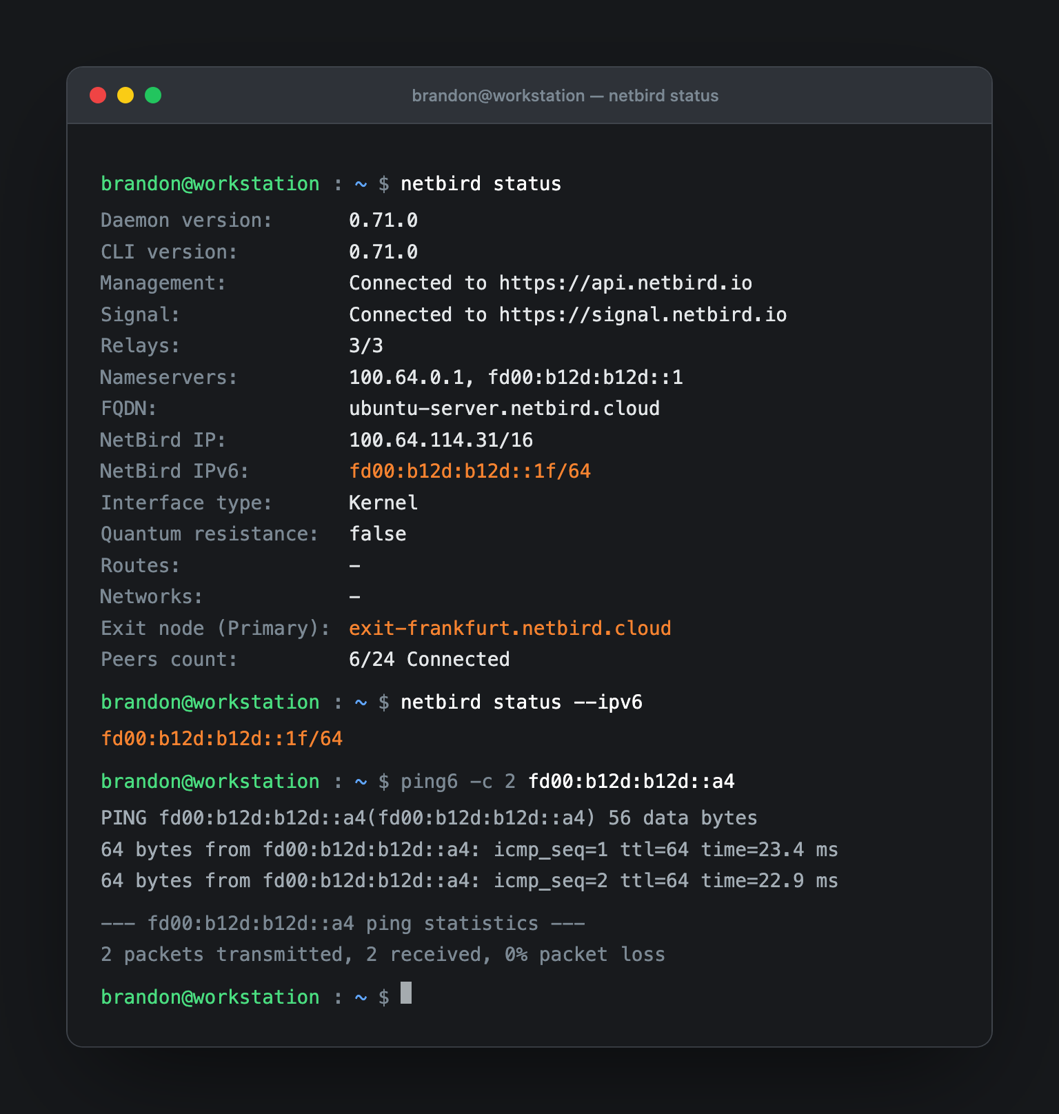 NetBird client status showing IPv6 address and exit-node usage