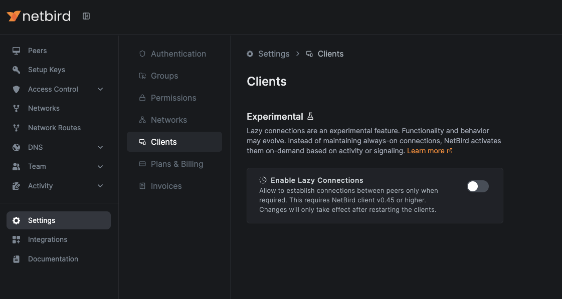 NetBird Lazy Connections