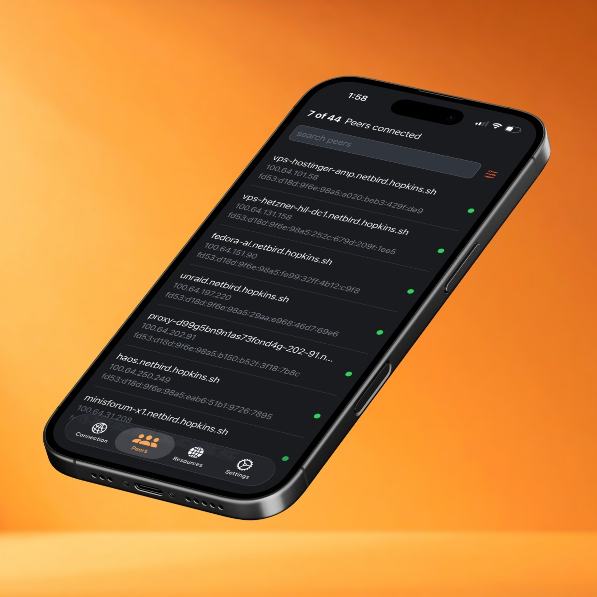 NetBird iOS peers list with IPv6 addresses