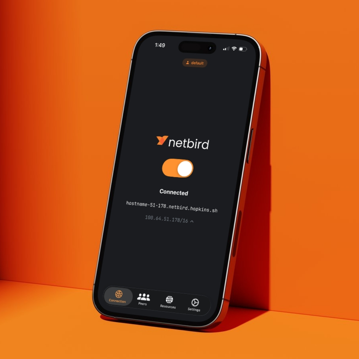 NetBird iOS connection screen