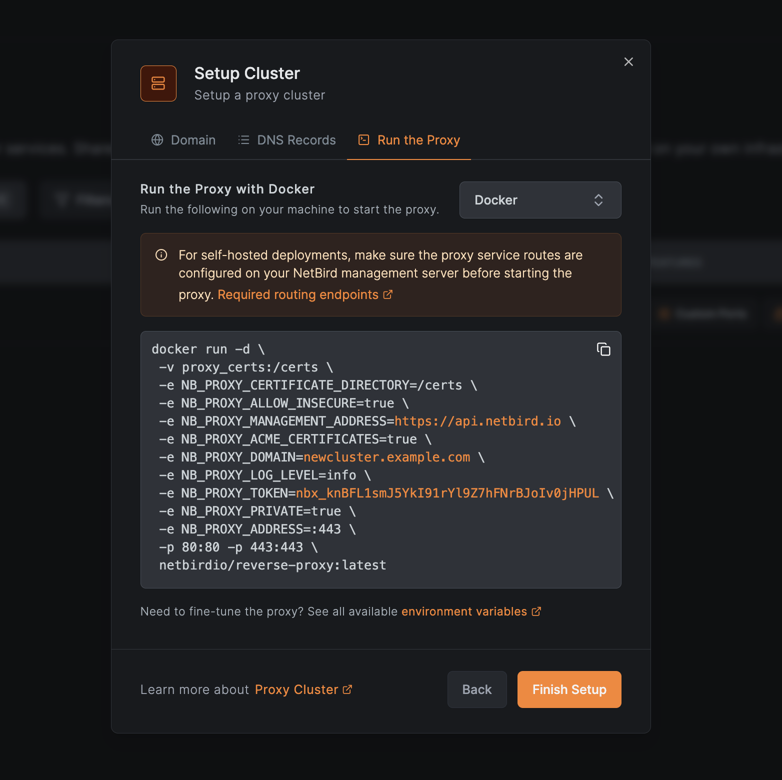 Cluster setup modal with the Run the Proxy step, deployment method picker, and generated docker run command