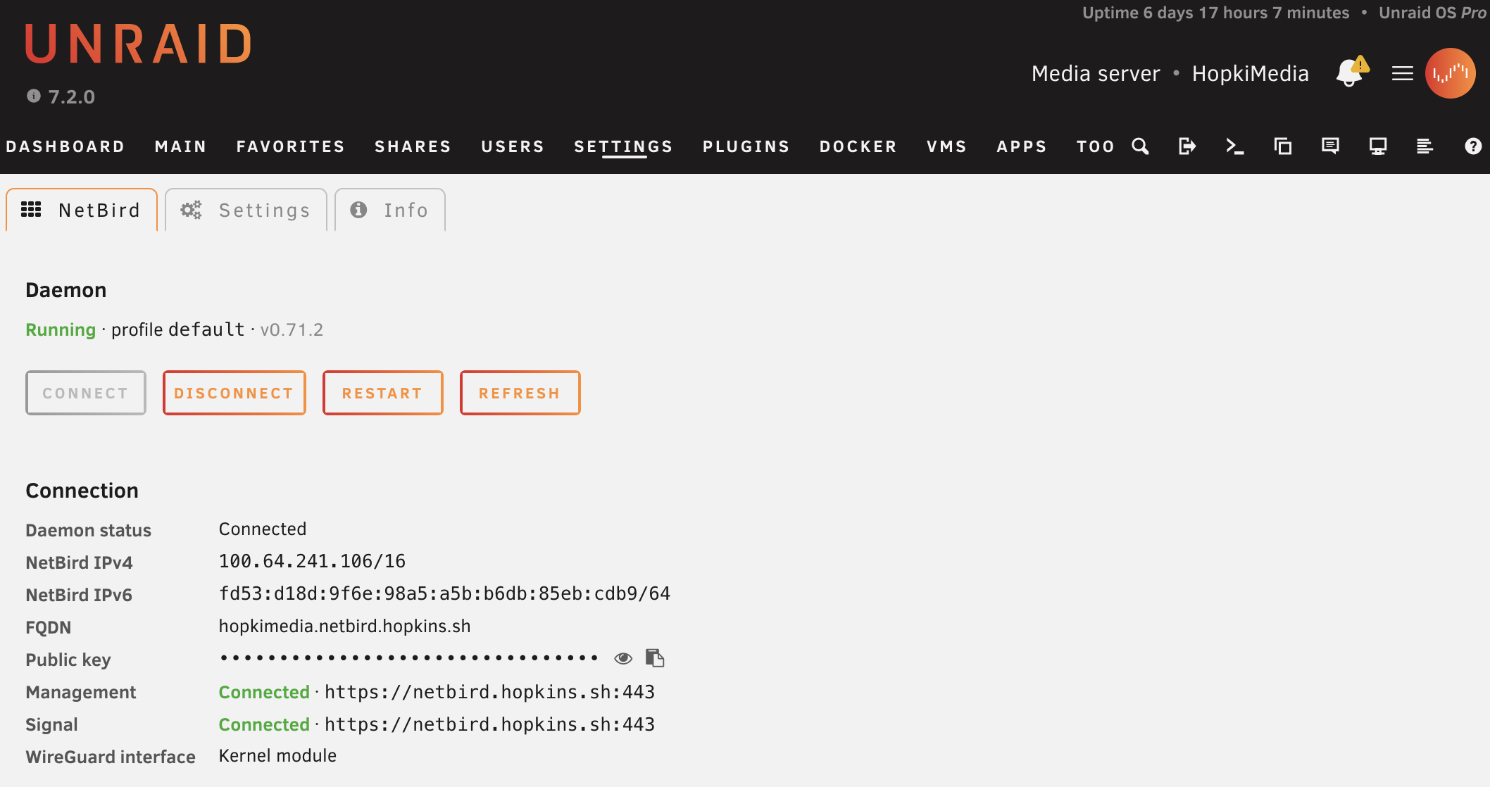 The NetBird plugin running in the Unraid web GUI