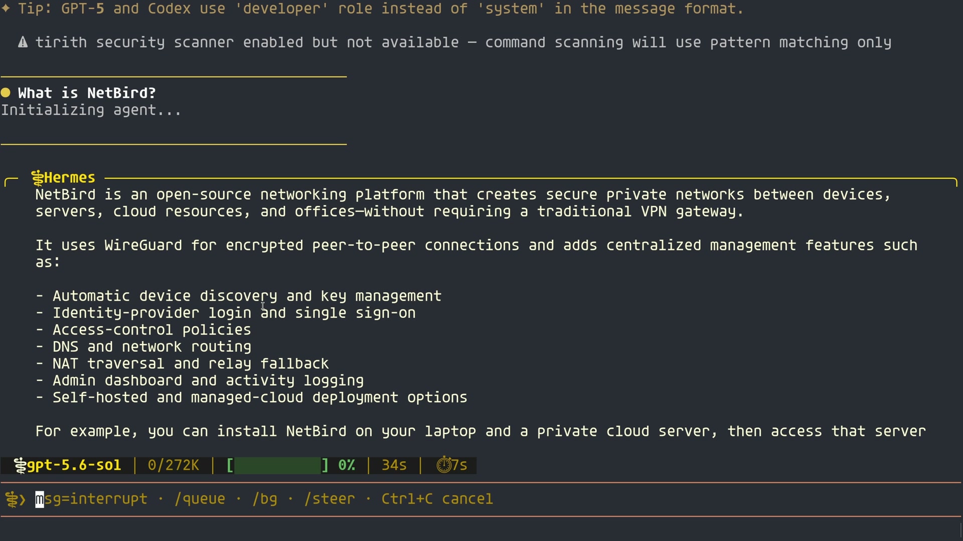 The Hermes CLI answering a test question about NetBird