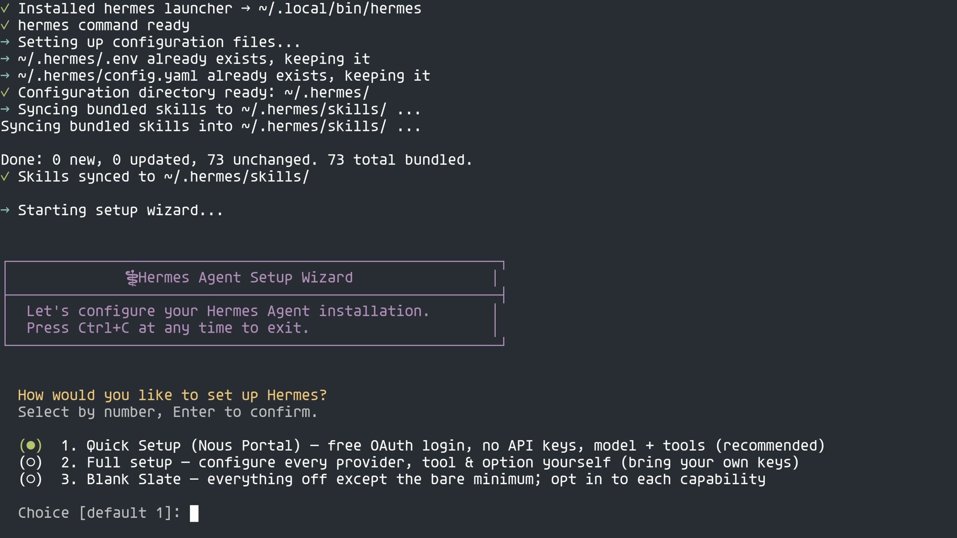 Hermes Agent setup wizard in the terminal with Quick Setup, Full Setup, and Blank Slate options