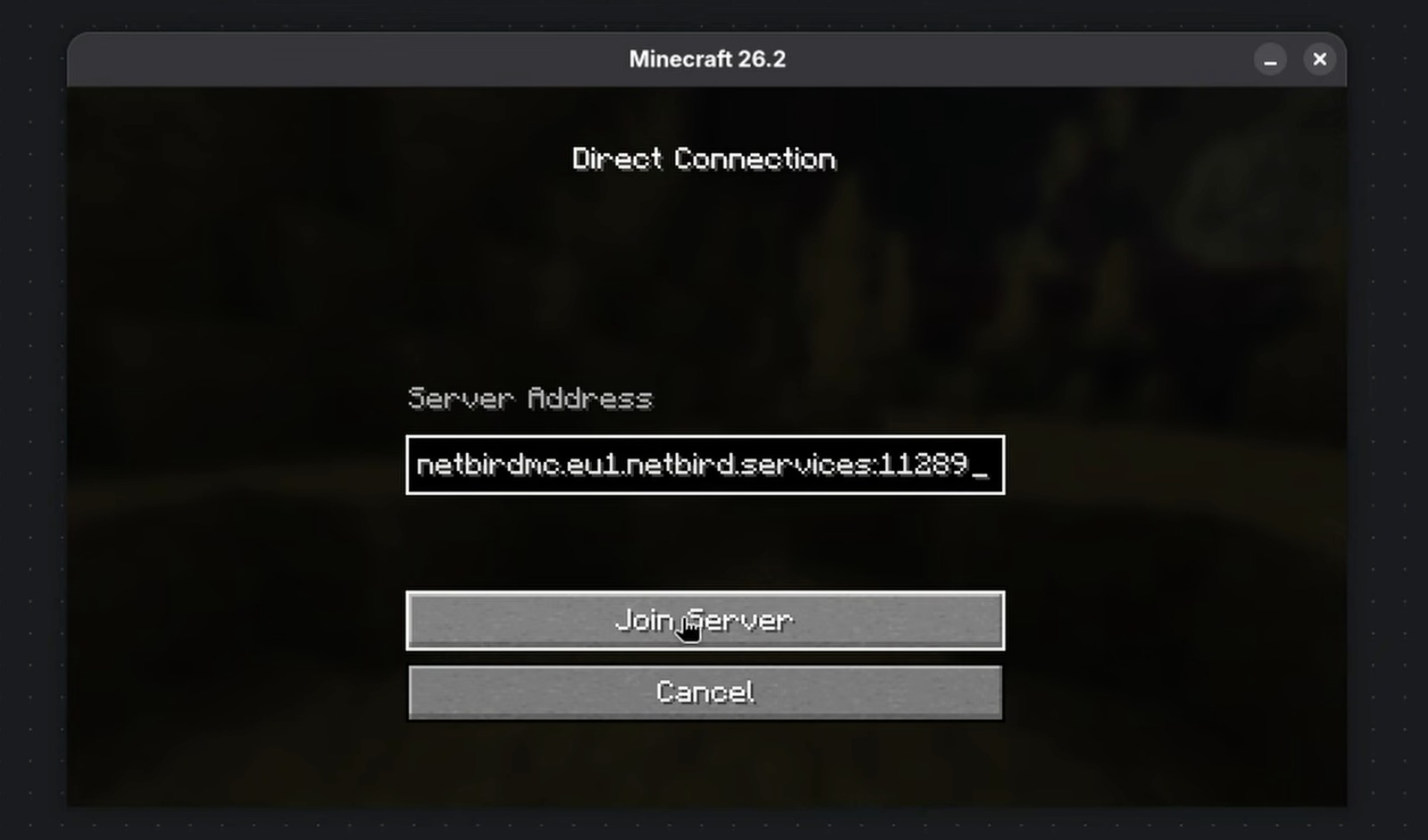 Joining the Minecraft server from outside the network using the reverse proxy address and its assigned port