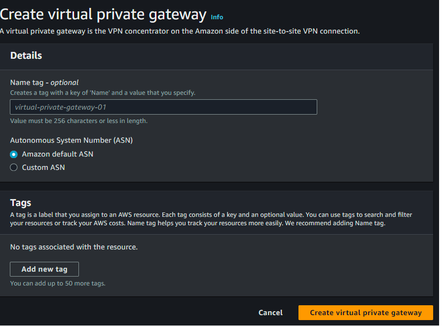 Virtual private gateway options