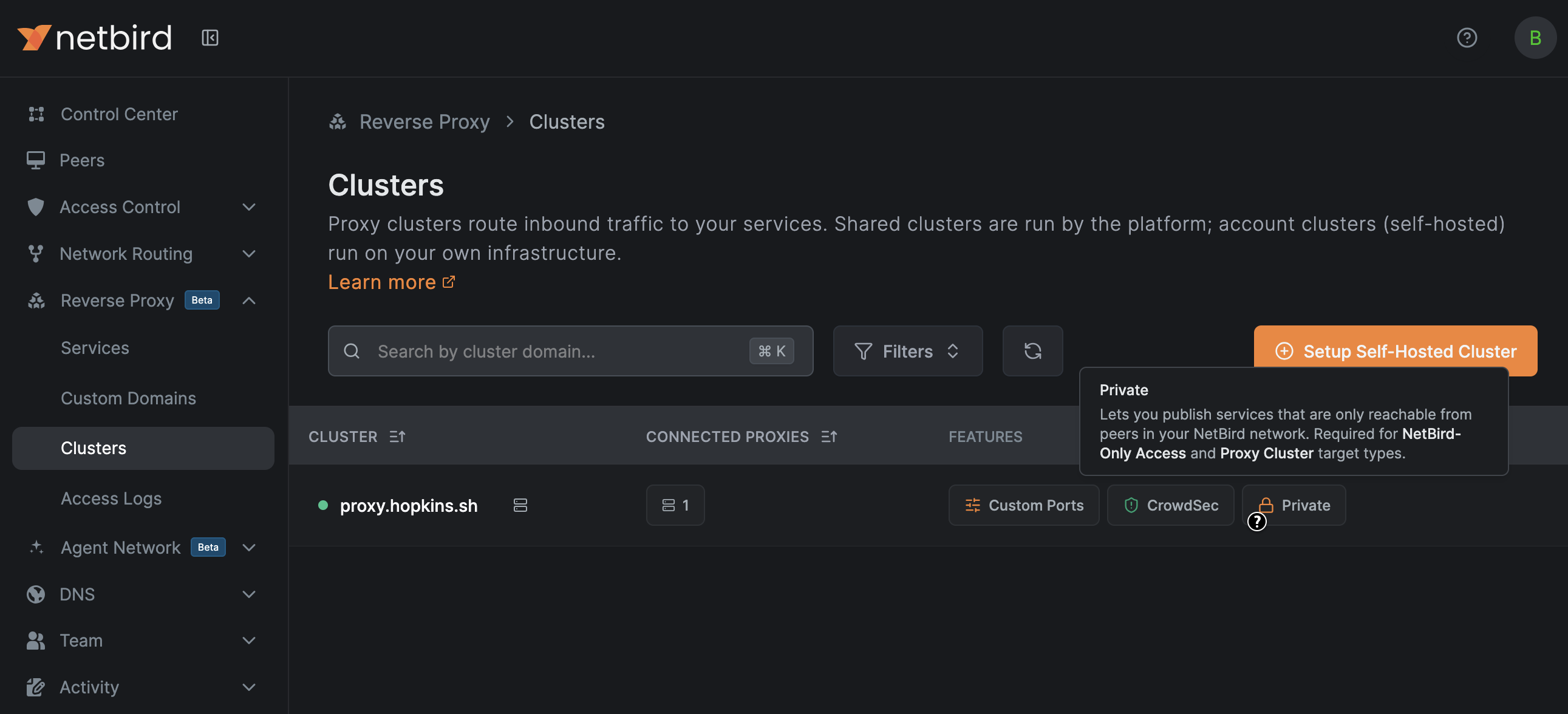 NetBird Clusters page showing the Private feature badge
